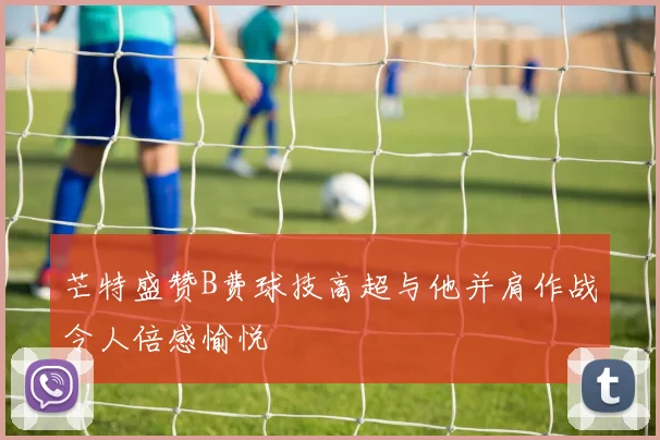 芒特盛赞B费球技高超与他并肩作战令人倍感愉悦