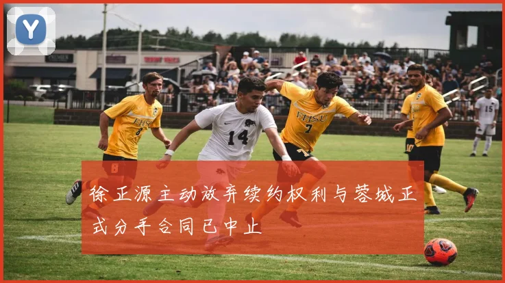 徐正源主动放弃续约权利与蓉城正式分手合同已中止
