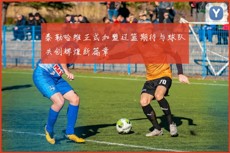 泰勒哈维正式加盟辽篮期待与球队共创辉煌新篇章
