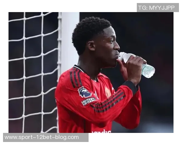 曼联曾对恩迪迪感兴趣球员愿加盟但卡里克选择信任梅努