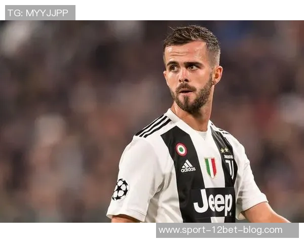 皮亚尼奇回忆效力伟大球队遗憾未能夺得欧冠荣誉 皮亚尼奇回忆效力伟大球队遗憾未能夺得欧冠荣誉